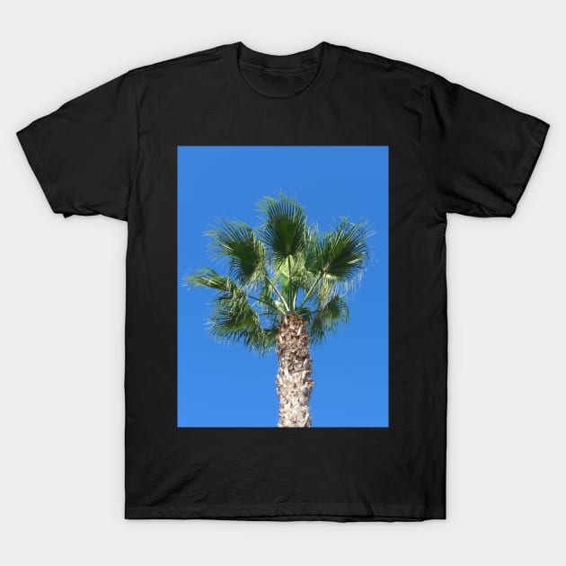 Close up of a Single Palm Tree with Blue Sky T-Shirt by Sandraartist